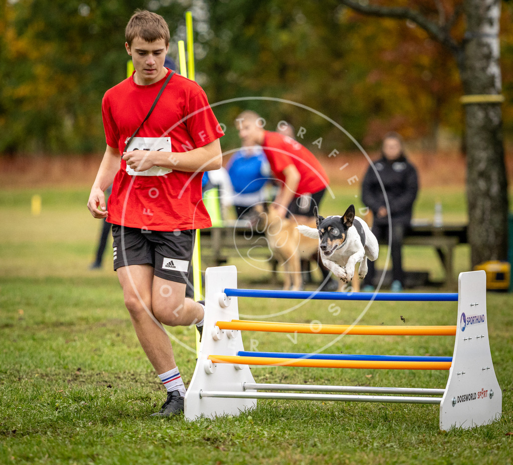Pfotenfotografie_DV3A0554 | Hundefotografie, Tierfotograf, Pfotenfotografie, Fotoshooting Hund, Hunde Portrait, Hundesport, Hundeportraits, Heideshooting, Hunde, Sportfotograf, Hundefotograf, Turnierhundsport, THS,  - Realisiert mit Pictrs.com