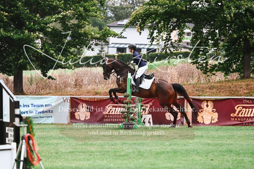 DSC_5995 | Pferde- und Turnierfotografie in Westsachsen. Pferdeportraits, Auftragszeichnungen und intuitive Kunst.