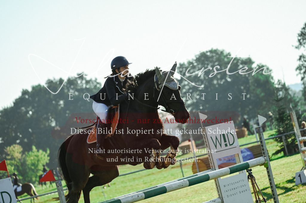 DSC_4446 | Pferde- und Turnierfotografie in Westsachsen. Pferdeportraits, Auftragszeichnungen und intuitive Kunst.