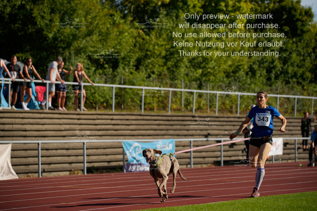 Sonntag_Staffel (53 von 336) | stephaniefillaphotographie - Realisiert mit Pictrs.com