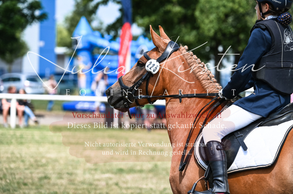 DSC_9661 | Pferde- und Turnierfotografie in Westsachsen. Pferdeportraits, Auftragszeichnungen und intuitive Kunst.