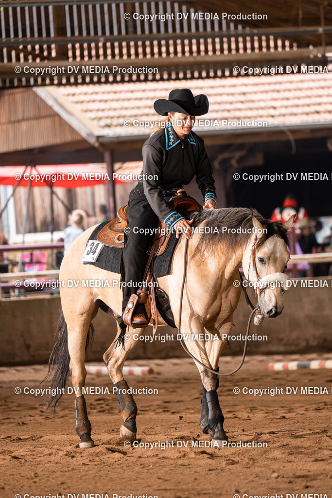 Erbach Tag 3-726 | dv-media-shop - Realisiert mit Pictrs.com