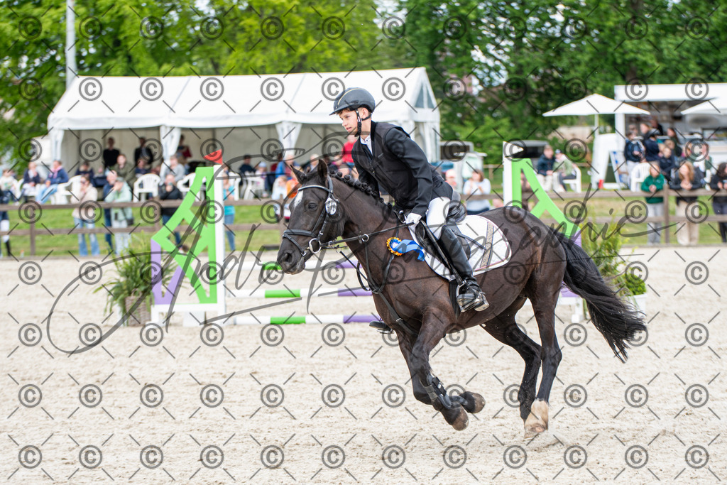 KPT_6446 | andre_photographic