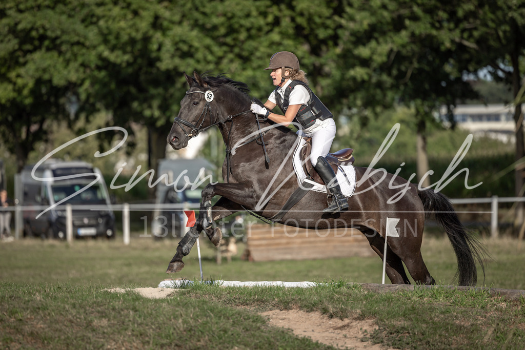20250907-_3LI8611 | Tierfotografie Pferde, Hunde, Katzen, Haustiere.
Turnierfotografie Reitturniere, Reiten, Springreiten, Dressur in Hanau, dem Main-Kinzig-Kreis und dem Rhein-Main- Gebiet um Frankfurt