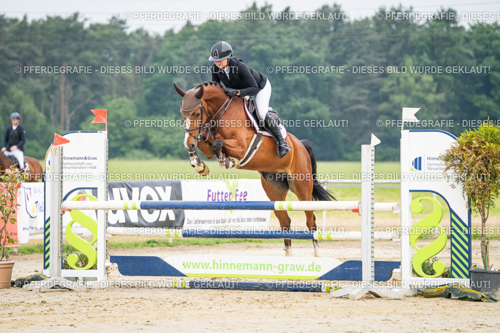 DSC09390 | Pferdegrafie