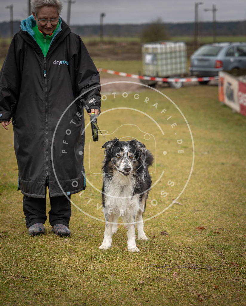 0L8A9077 | Hundefotografie, Tierfotograf, Pfotenfotografie, Fotoshooting Hund, Hunde Portrait, Hundesport, Hundeportraits, Heideshooting, Hunde, Sportfotograf, Hundefotograf, Turnierhundsport, THS,  - Realisiert mit Pictrs.com