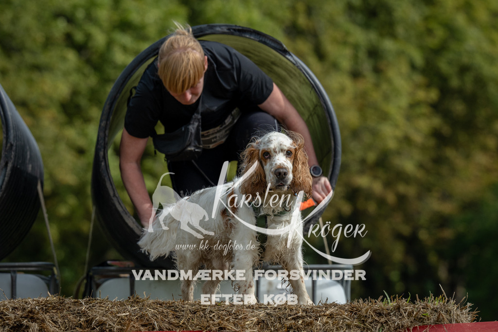 1145_ZZ90316 | kk-dogfotos