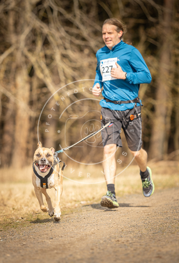 DV3A5324 | Hundefotografie, Tierfotograf, Pfotenfotografie, Fotoshooting Hund, Hunde Portrait, Hundesport, Hundeportraits, Heideshooting, Hunde, Sportfotograf, Hundefotograf, Turnierhundsport, THS,  - Realisiert mit Pictrs.com