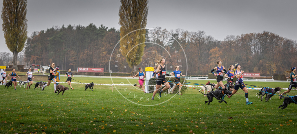 CaniXpix_DV3A8746 | Hundefotografie, Tierfotograf, Pfotenfotografie, Fotoshooting Hund, Hunde Portrait, Hundesport, Hundeportraits, Heideshooting, Hunde, Sportfotograf, Hundefotograf, Turnierhundsport, THS,  - Realisiert mit Pictrs.com