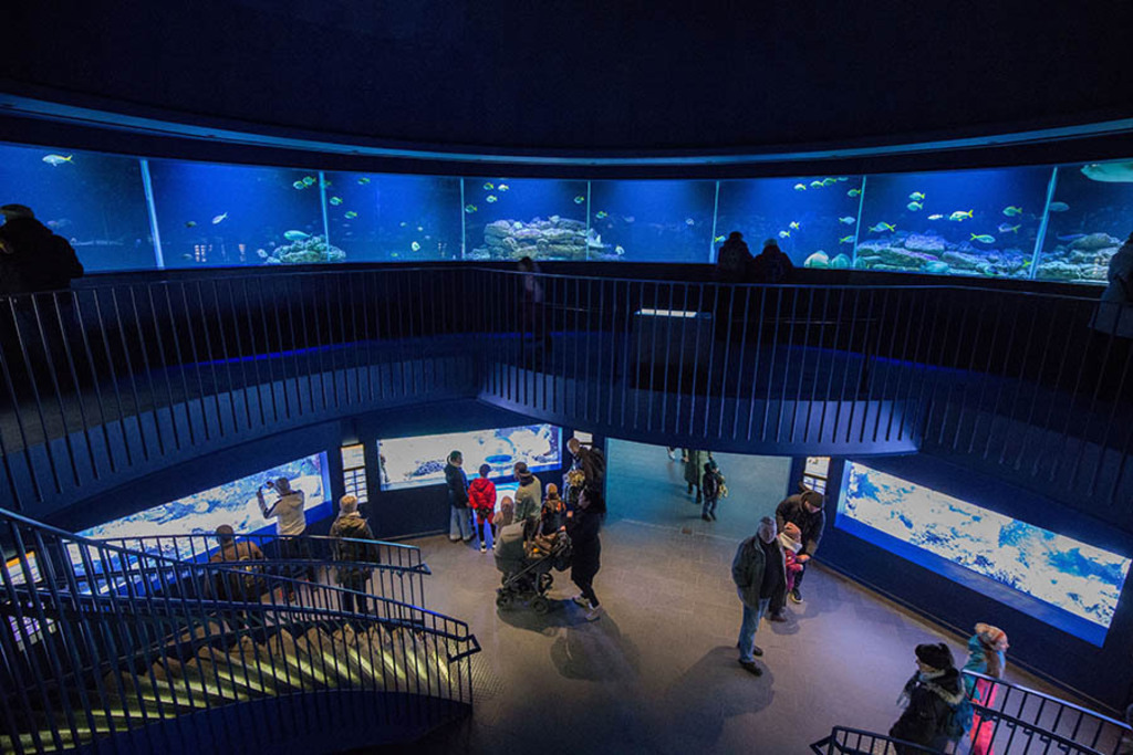 Aquarium im Zoo Leipzig | Entdecke über 20 Kategorien Leipzig-Motive: Foto-Downloads, hochwertige Poster, Leinwand- & Fine-Art-Prints. Jetzt Lieblingsfoto im Bildlexikon Leipzig Shop bestellen!