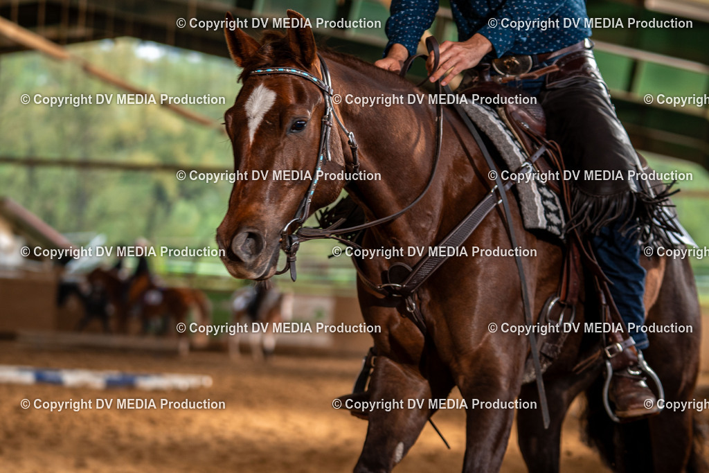 Balingen Tag 4-0957 | dv-media-shop - Realisiert mit Pictrs.com