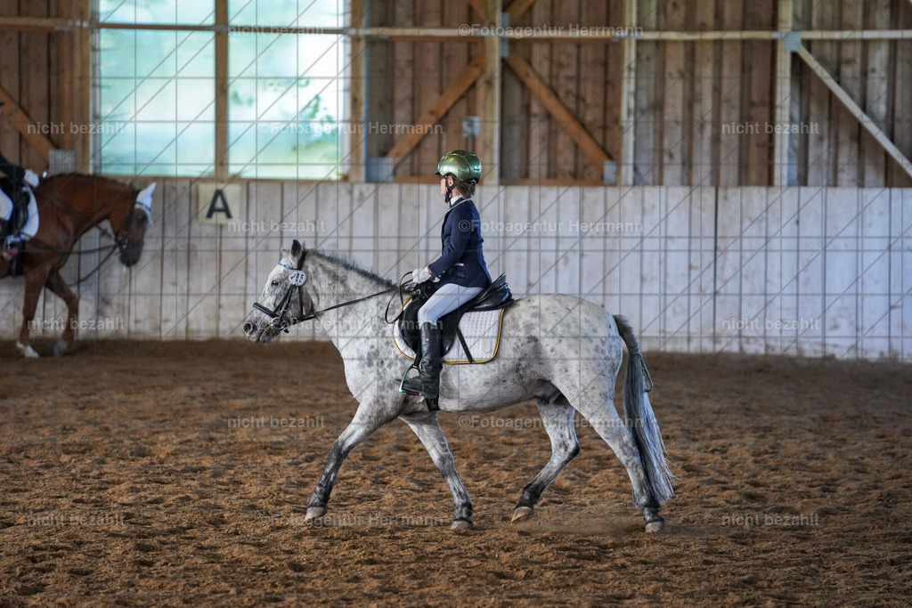 20230916-FAH08623 | Landsberg am Lech 2023, Turnierbildern, Turnierbilder Bayern, Reitsportfotograf, Pferdefotograf Bayern, Turnierfotos Landsberg, Fotoagentur Herrmann, Turnierfotografen Bayern
