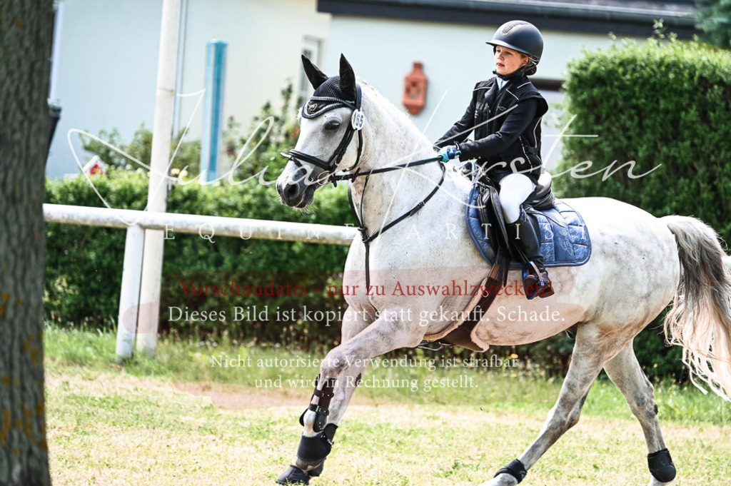 DSC_9812 | Pferde- und Turnierfotografie in Westsachsen. Pferdeportraits, Auftragszeichnungen und intuitive Kunst.