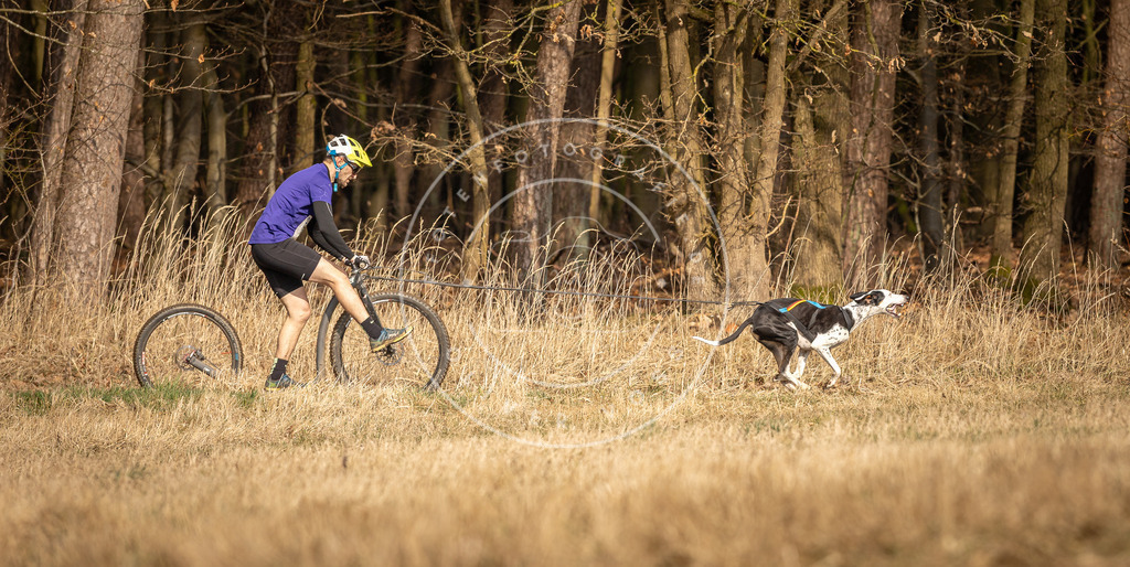 DV3A4764 | Hundefotografie, Tierfotograf, Pfotenfotografie, Fotoshooting Hund, Hunde Portrait, Hundesport, Hundeportraits, Heideshooting, Hunde, Sportfotograf, Hundefotograf, Turnierhundsport, THS,  - Realisiert mit Pictrs.com