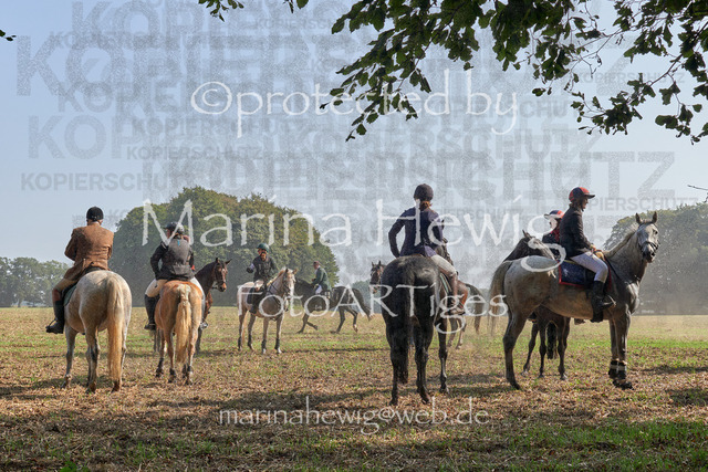 09-23 JAgd PerdölDSC02329_Marina Hewig | Fotografie, FotoArt, PferdesportArt, Pferdesportfotografie, Landschaftsfotografie, Reisefotografie, Reise, Pferde - Realisiert mit Pictrs.com