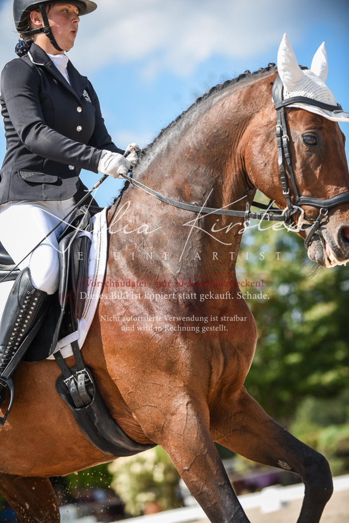 DSC_9310 | Pferde- und Turnierfotografie in Westsachsen. Pferdeportraits, Auftragszeichnungen und intuitive Kunst.