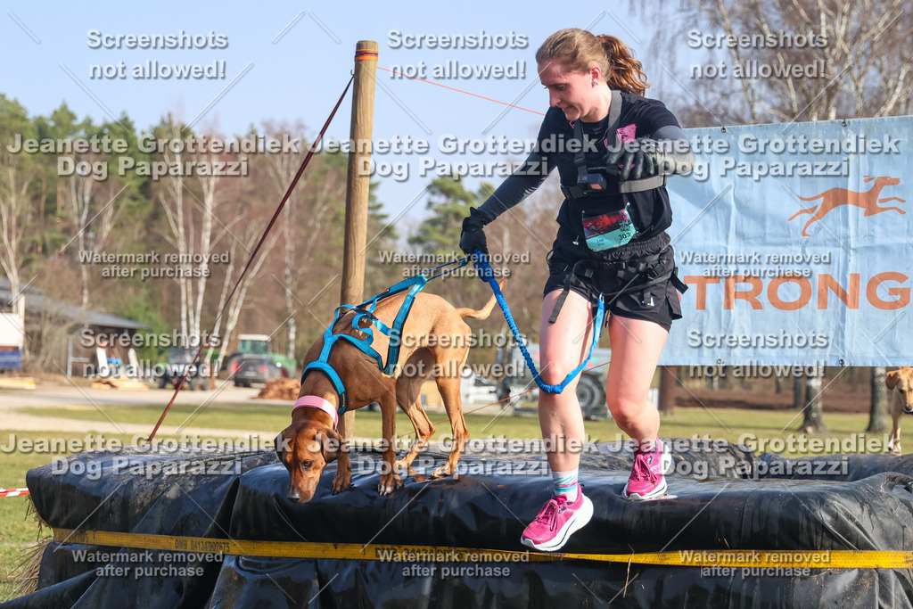 Dog Paparazzi - Strongdog North Mrz26-2361 | Dog Paparazzi Jeanette Grottendiek Fotografie & Videografie - Realisiert mit Pictrs.com