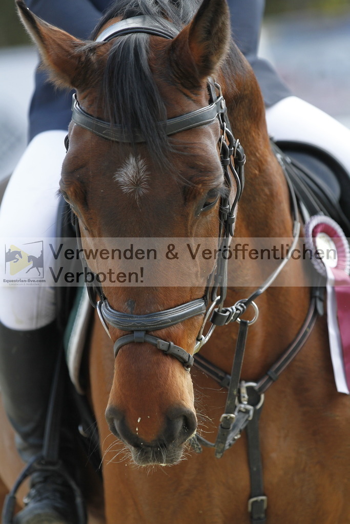 _MG_7278 | equestrian-live-com