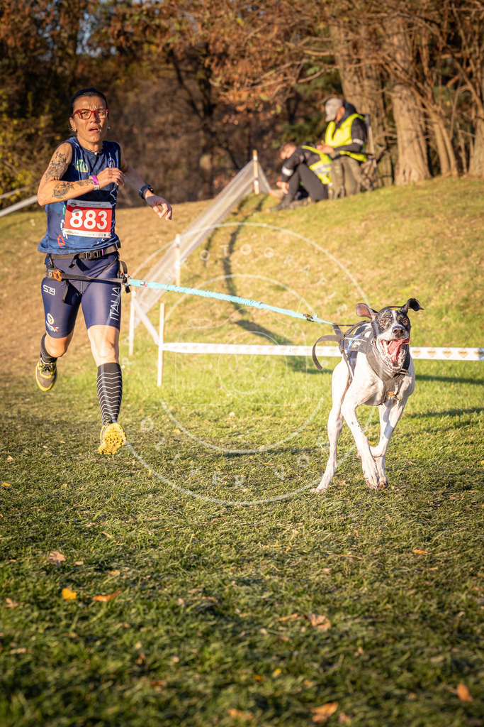 CaniXpix_0L8A1192 | Hundefotografie, Tierfotograf, Pfotenfotografie, Fotoshooting Hund, Hunde Portrait, Hundesport, Hundeportraits, Heideshooting, Hunde, Sportfotograf, Hundefotograf, Turnierhundsport, THS,  - Realisiert mit Pictrs.com