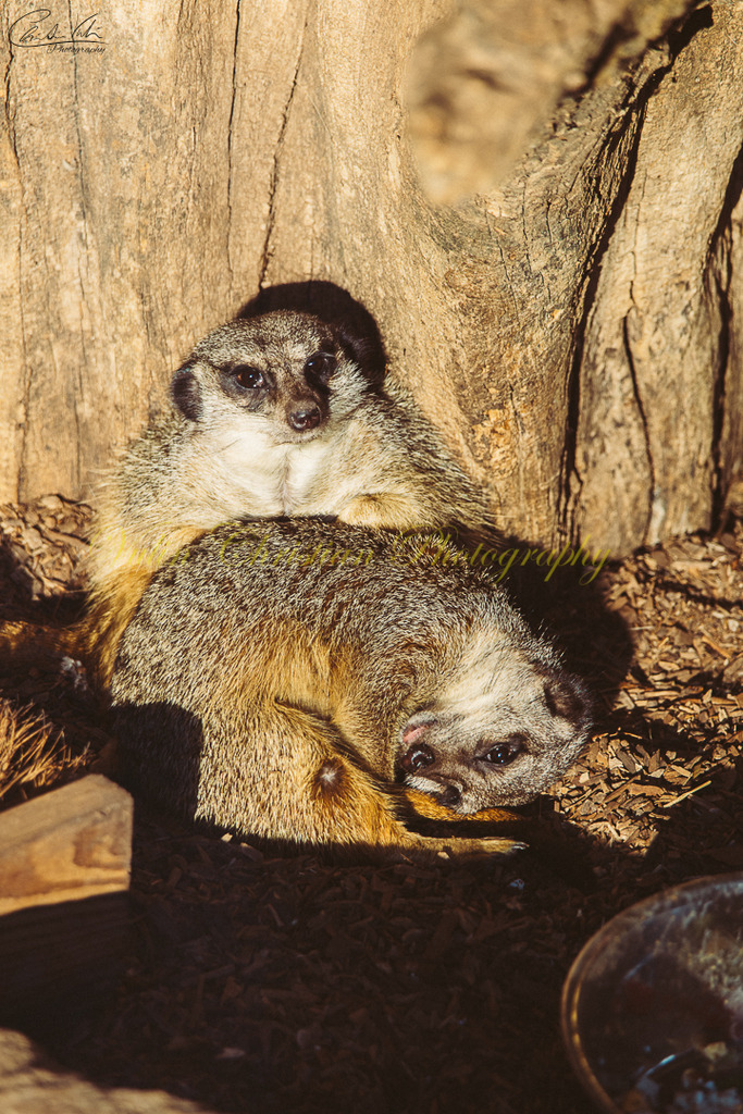 TPH 11 | Christian Vulin  - Realisiert mit Pictrs.com