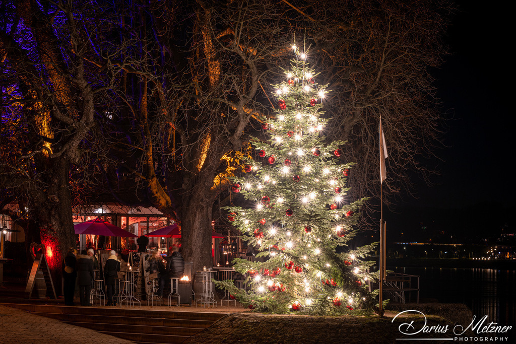 DSC_6787 2 | Fotografien, Fotos und Bilder aus Mainz, Frankfurt, Wiesbaden und anderen Orten auf der Welt - Fotografiert von Darius Metzner