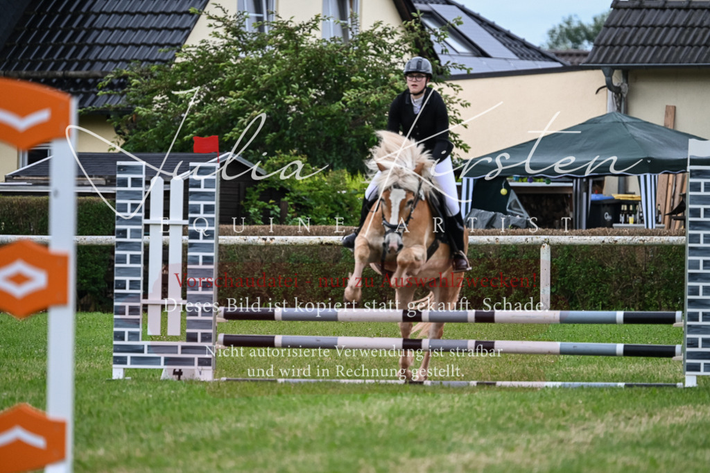 DSC_8400 | Pferde- und Turnierfotografie in Westsachsen. Pferdeportraits, Auftragszeichnungen und intuitive Kunst.