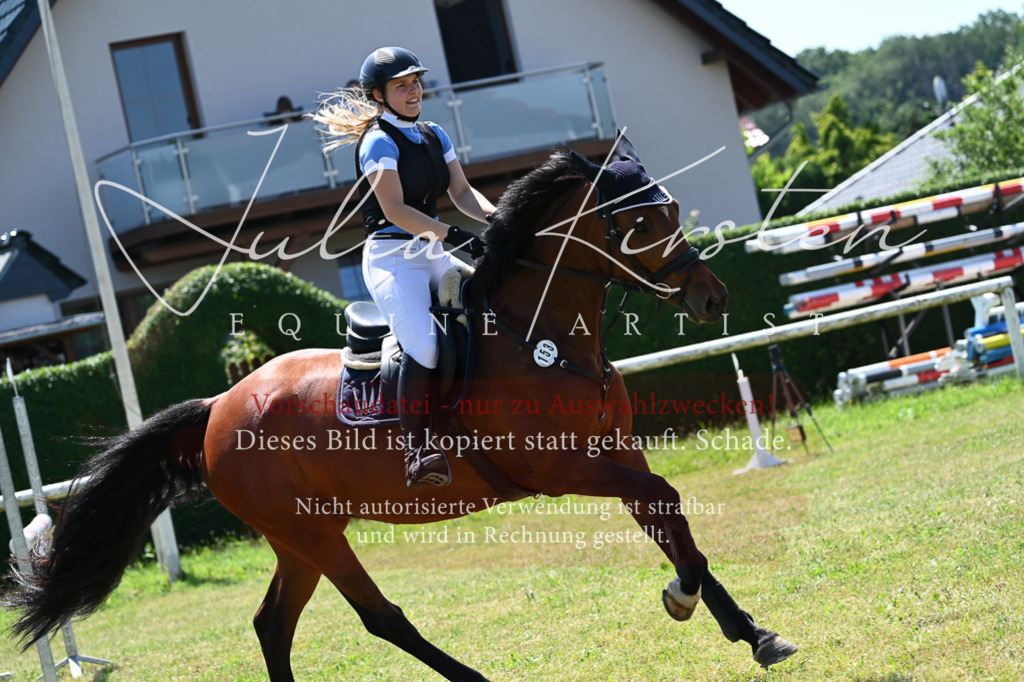 DSC_0667 | Pferde- und Turnierfotografie in Westsachsen. Pferdeportraits, Auftragszeichnungen und intuitive Kunst.