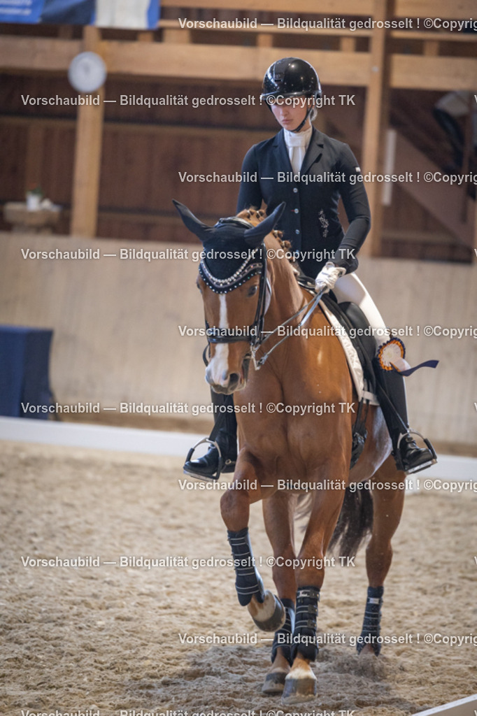 _D5A2037 | Emotionale Pferde- & People-Fotografie rund um Heidelberg, Leimen & Umgebung. Natürliche Fotos von Pferd, Mensch & Familie. Jetzt Termin sichern!