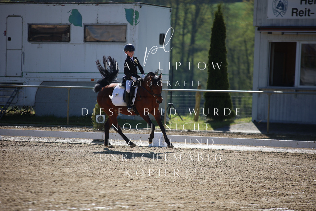 IMGT9561 | pl-fotografie