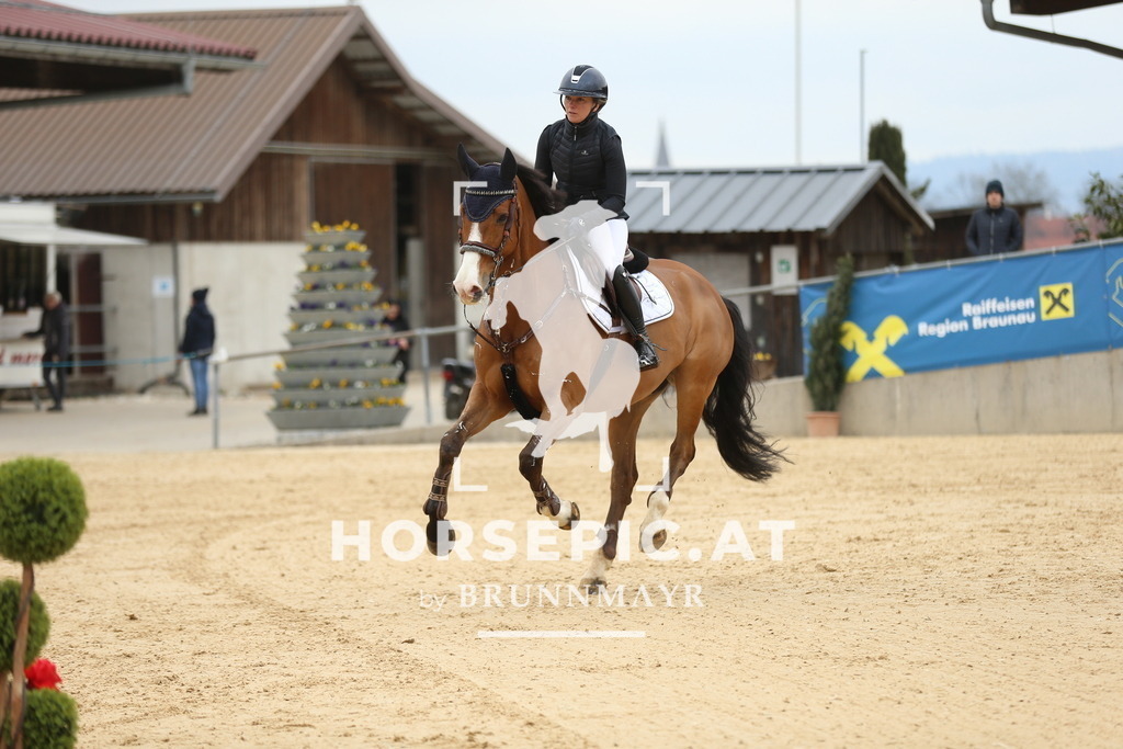 DL2Q5770 | Willkommen bei Brunnmayr - Design & Fotografie – Ihrem Spezialisten für Reitturniere und Pferdeveranstaltungen in Oberösterreich, Salzburg und Bayern! Seit über 17 Jahren sind wir leidenschaftlich dabei.