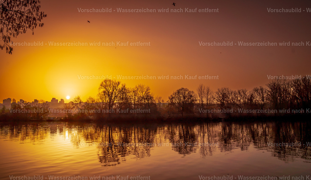 DSC05659 | marcuslinek