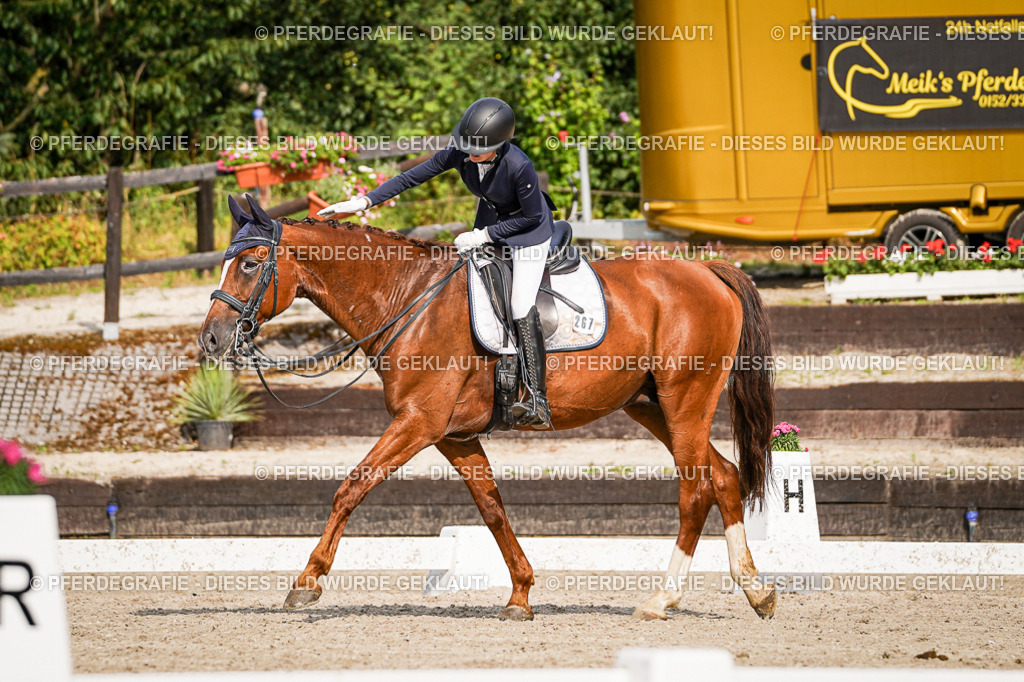 DSC07455 | Pferdegrafie