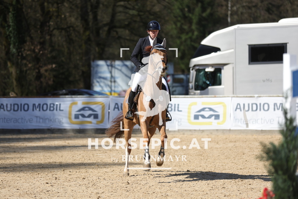 0P6A7614 | Willkommen bei Brunnmayr - Design & Fotografie – Ihrem Spezialisten für Reitturniere und Pferdeveranstaltungen in Oberösterreich, Salzburg und Bayern! Seit über 17 Jahren sind wir leidenschaftlich dabei.