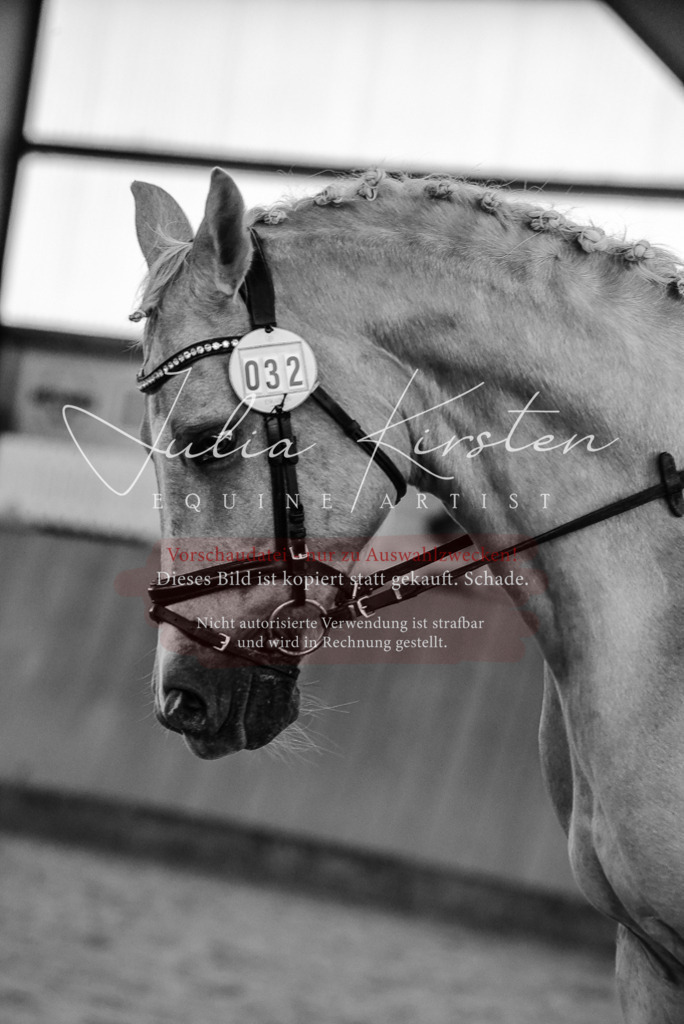 DSC_7218 | Pferde- und Turnierfotografie in Westsachsen. Pferdeportraits, Auftragszeichnungen und intuitive Kunst.
