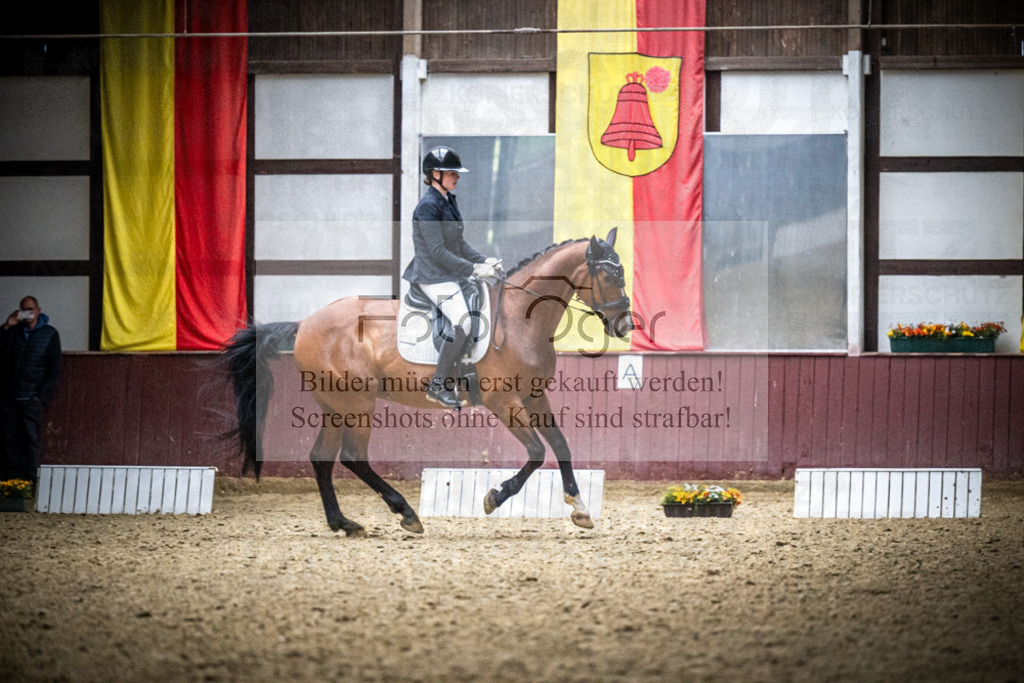 DOS_1026 | Reitturnier Lüdinghausen - Realisiert mit Pictrs.com