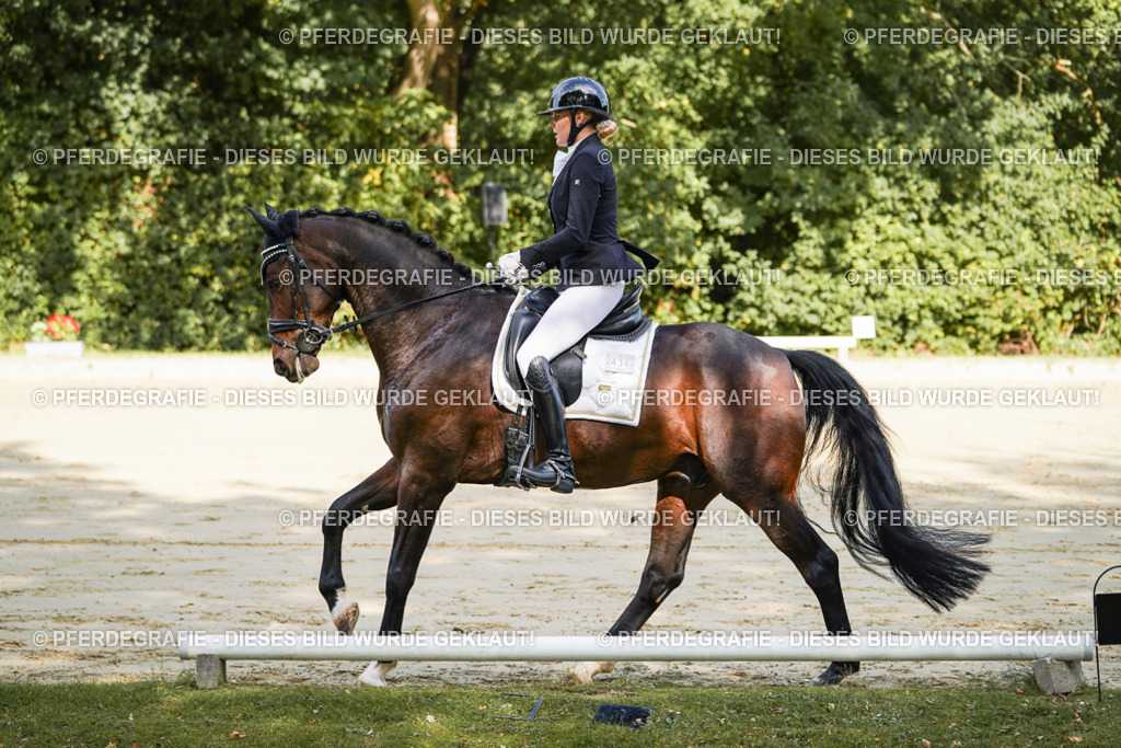 DSC07747 | Pferdegrafie