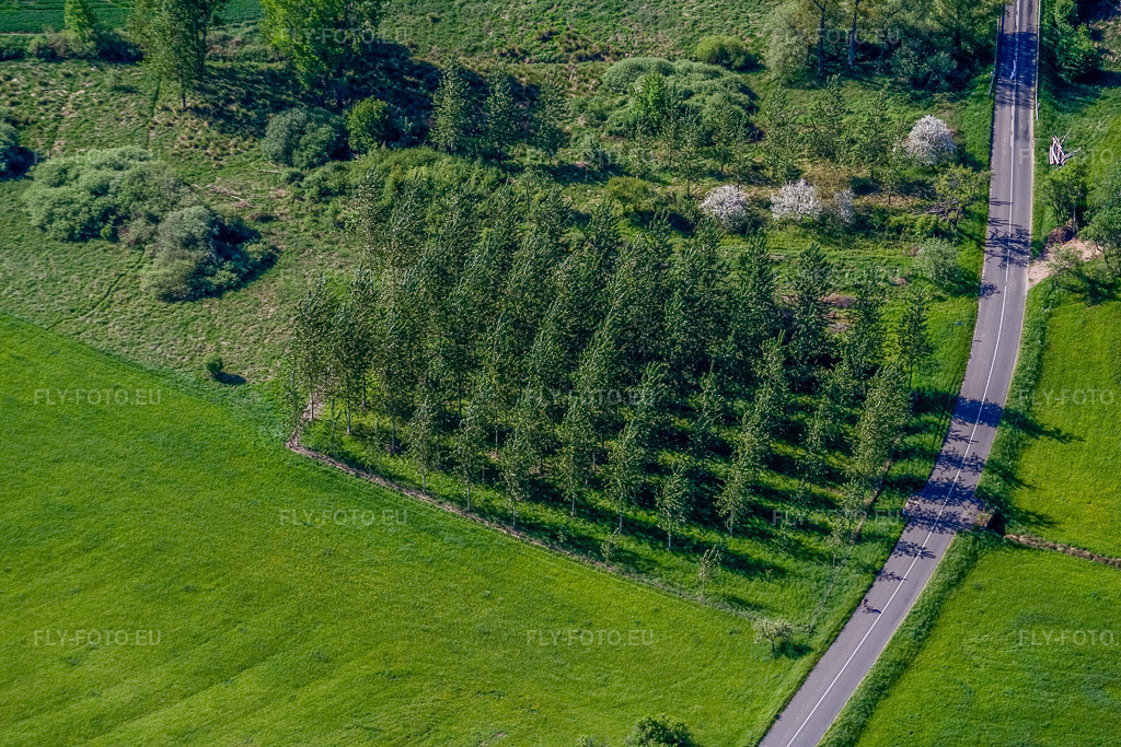 Vue aérienne: Peupleraie à Rothbach dans le département Bas Rhin, France – .Photo: IMG_10859.jpg prise le 12/05/2008 par Werner Riehm/FLY-FOTO.eu – Résolution de l'original: 3456 x 2304 px