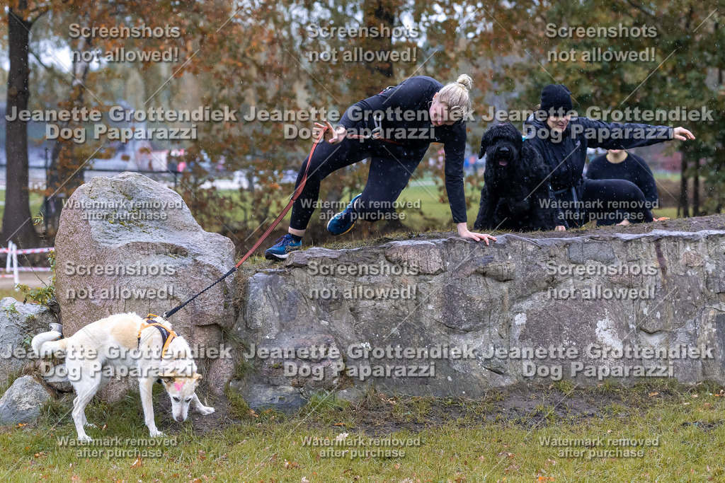 Dog Paparazzi - SD CaniX Championship 2025-745 | Dog Paparazzi Jeanette Grottendiek Fotografie & Videografie - Realisiert mit Pictrs.com