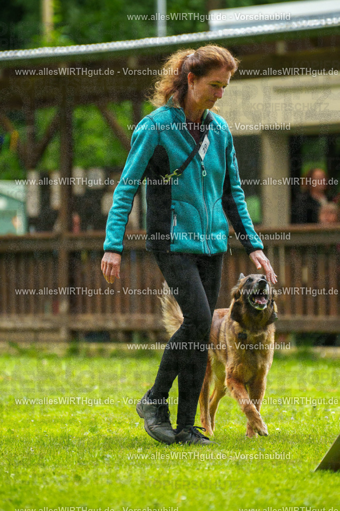 @allesWIRTHgut_Tierfotografie - www.allesWIRTHgut.de - 102144-7R508403 | Professionelle Tierfotografie in Mönchengladbach von Daniel Wirth (allesWIRTHgut). Liebevolle & natürliche Bilder von Hunden & Katzen für unvergessliche Erinnerungen.