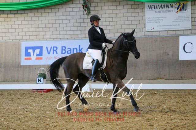 IMG_2893 | Turnierfotos kaufen im Webshop von Daniel Kuhl Photography – entdecke professionelle Reitsportfotos aus Turnieren & Events. Hochwertige Turnierbilder online bestellen & sichern. Jetzt Fotos von Reitsportturnieren kaufen!