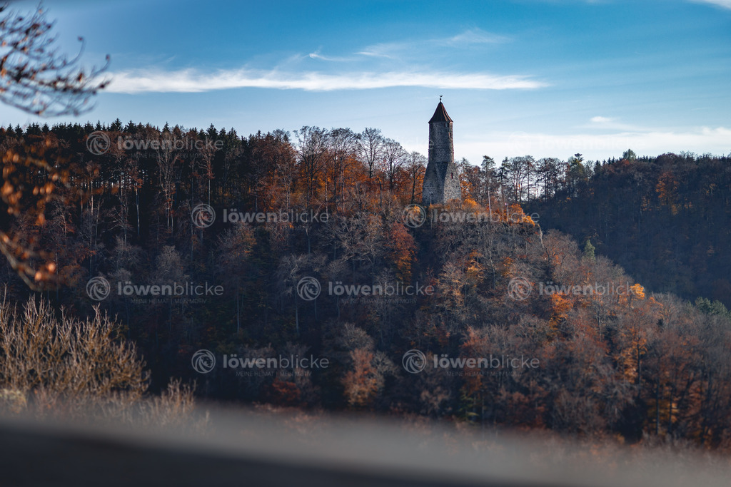 DANIEL-GIMMER-PHOTOGRAPHY_LOEWENBLICKE_0272 | löwenblicke | shop