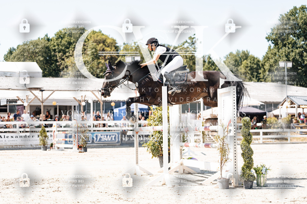 CK909749 | Turnierfotografie Pferdefotografie Trier Rheinland-Pfalz Pferdesport Reitsport Tierfotografie Sportfotografie Pferdevideo Pferdevideografie Equestrianvideography equestrianphotography  - Realisiert mit Pictrs.com