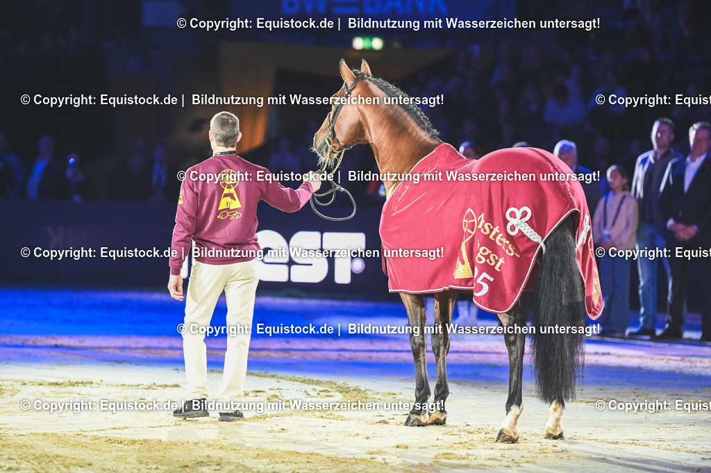 20251113_Masters-Hengst_TOMSPIC_0015 | Foto: Thomas Hartig