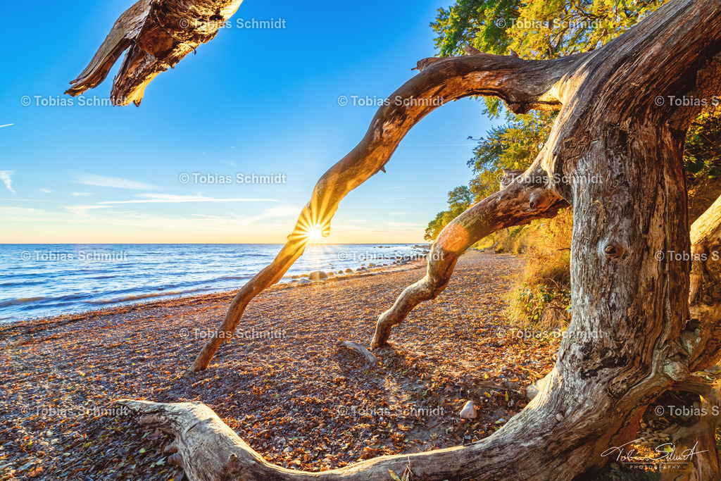 Fehmarn__DSC7911-HDR | Fotoprodukte, Kalender und Wanddeko direkt vom Fotografen auf Fehmarn. Ob Wandbild auf Alu-Dibond, hinter Acrylglas oder auf Leinwand – hier können Sie Ihr Lieblingsbild kaufen. - Realisiert mit Pictrs.com