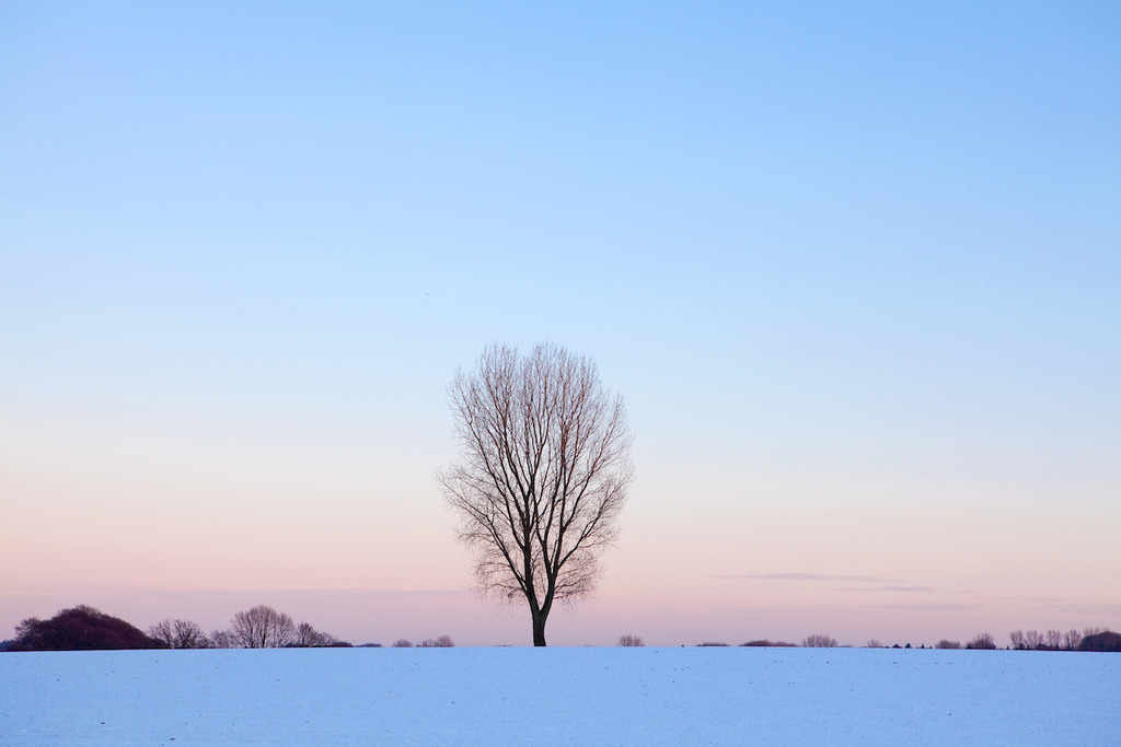101215-112 | Europa, DEU, Deutschland, Nordrhein Westfalen, NRW, Rheinland, Niederrhein, Duesseldorf-Hubbelrath, Winter, Schnee, Abendstimmung, Daemmerung, Himmel, Einzelner Baum, Pappel, Kategorien und Themen, Natur, Umwelt, Landschaft, Jahreszeiten, Stimmungen, Landschaftsfotografie, Landschaften, Landschaftsphoto, Landschaftsphotographie, Wetter, Wetterelemente, Wetterlage, Wetterkunde, Witterung, Witterungsbedingungen, Wettererscheinungen, Meteorologie, Wettervorhersage

[Fuer die Nutzung gelten die jeweils gueltigen Allgemeinen Liefer-und Geschaeftsbedingungen. Nutzung nur gegen Verwendungsmeldung und Nachweis. Download der AGB unter http://www.image-box.com oder werden auf Anfrage zugesendet. Freigabe ist vorher erforderlich. Jede Nutzung des Fotos ist honorarpflichtig gemaess derzeit gueltiger MFM Liste - Kontakt, Uwe Schmid-Fotografie, Duisburg, Tel. (+49).2065.677997, 
archiv@image-box.com, www.image-box.com] - Realisiert mit Pictrs.com