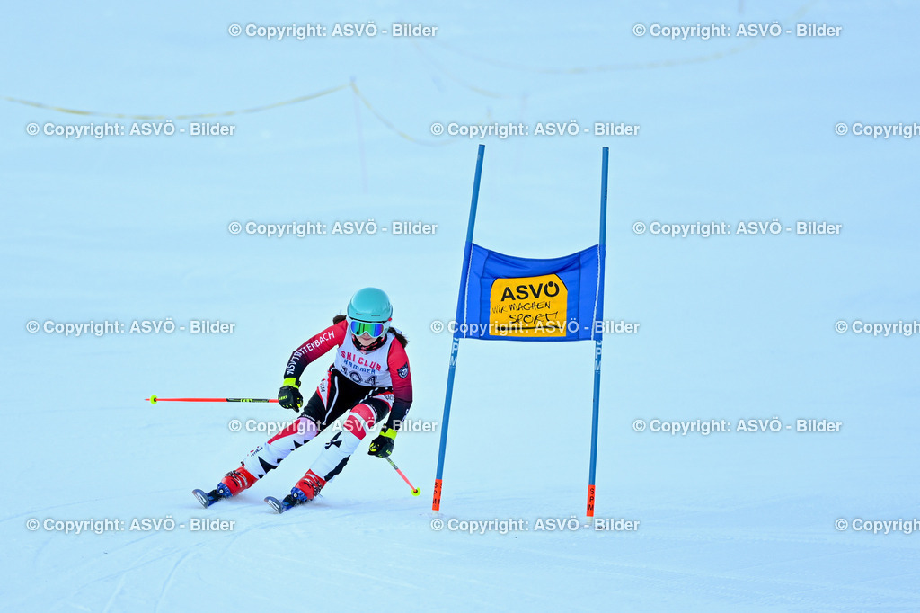 ASVÖ_ Skitrophy 2025_ 02.02.2025-47 | 02.02.2022, Hinterstoder, AUT, ASVÖ, Skitrophy 2025 im Bild Teilnehmer©Harald Dostal / fodo.media - Realisiert mit Pictrs.com