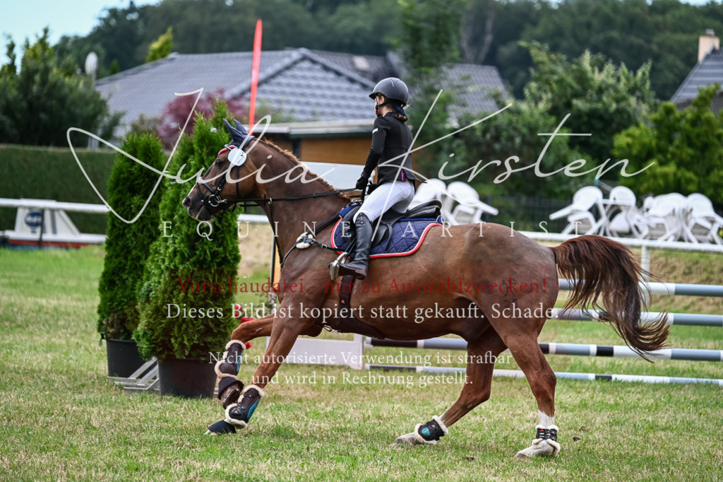 DSC_8526 | Pferde- und Turnierfotografie in Westsachsen. Pferdeportraits, Auftragszeichnungen und intuitive Kunst.