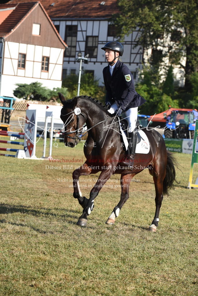 DSC_5058 | Pferde- und Turnierfotografie in Westsachsen. Pferdeportraits, Auftragszeichnungen und intuitive Kunst.