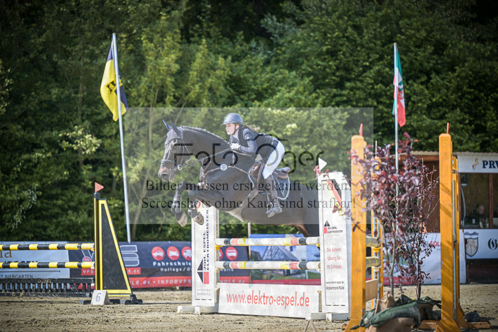 DOS_3922 | Entdecke hochwertige Reitturnierfotos von Foto Oger. Professionell, emotional und authentisch – jetzt Lieblingsmomente im Shop bestellen.Deutschlandweite Turnierfotografie. - Realisiert mit Pictrs.com