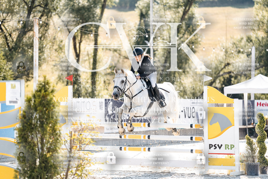 CK907668 | Turnierfotografie Pferdefotografie Trier Rheinland-Pfalz Pferdesport Reitsport Tierfotografie Sportfotografie Pferdevideo Pferdevideografie Equestrianvideography equestrianphotography  - Realisiert mit Pictrs.com